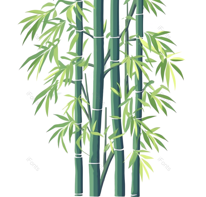 叶子图片,节日元素,插画PNG,竹子免抠素材